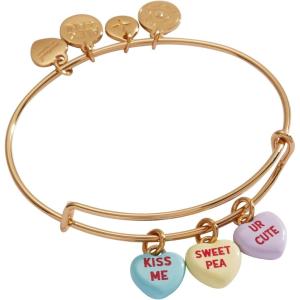 Alex and Ani Sweethearts Multi-Charm Bracelet(Sweethearts® Multi-Heart Charm Bangle)