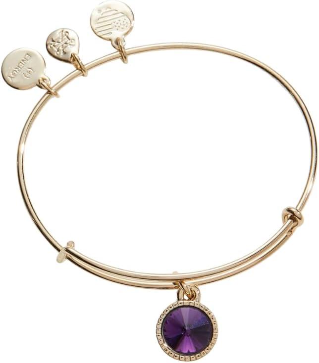 imageAlex and Ani Birthstones Expandable Bangle for Women Birthday Crystal Charms Shiny Finish 2 to 35 inShiny Gold