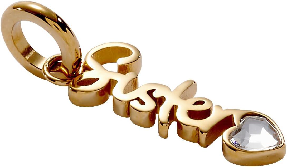 imageAlex and Ani Loved Ones Elongated Interchangeable CharmsStainless Gold