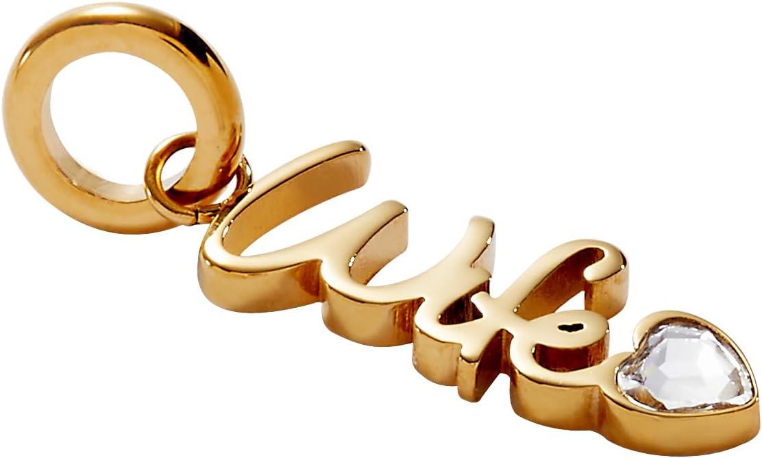 imageAlex and Ani Loved Ones Elongated Interchangeable CharmsStainless Gold