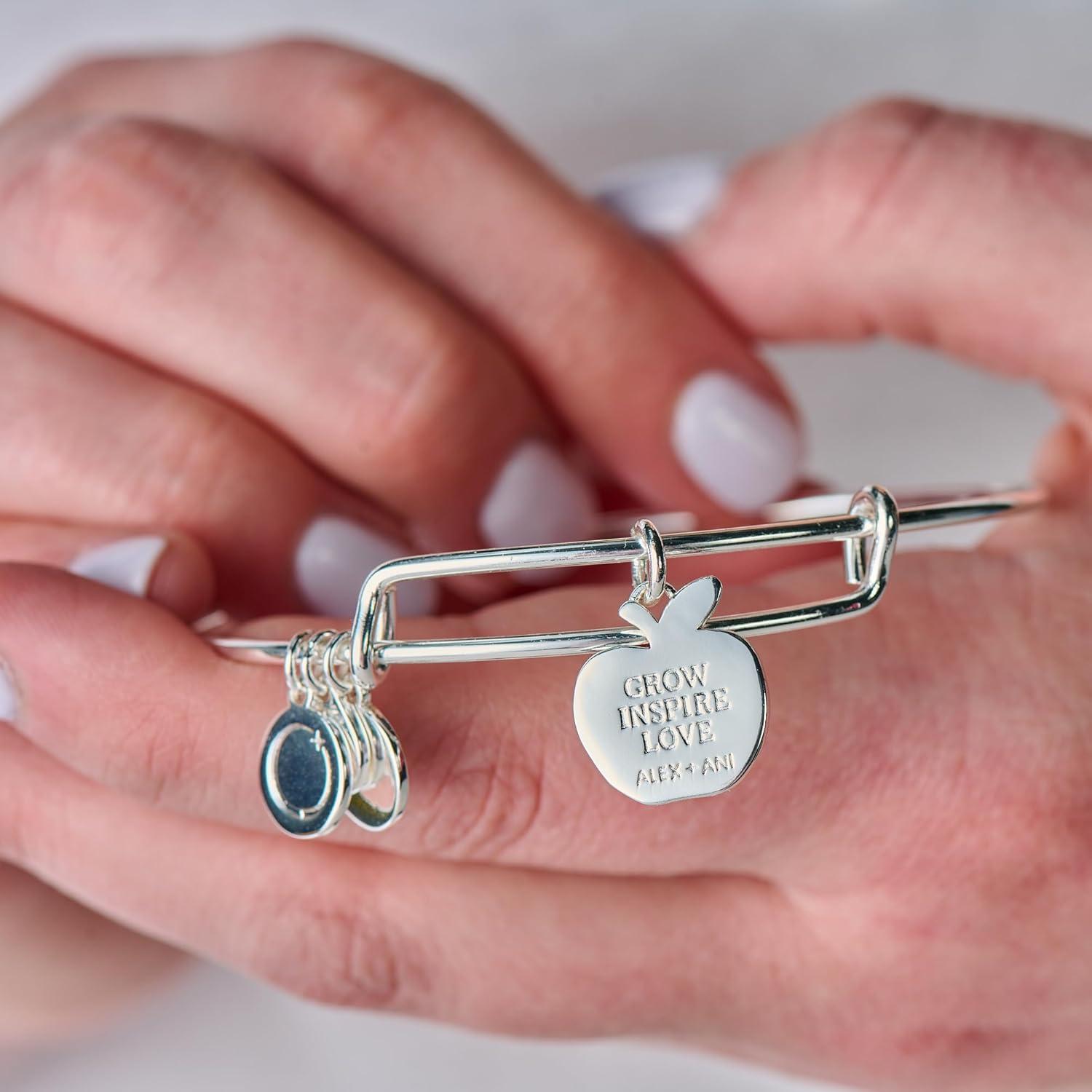 imageAlex and Ani SchoolThemed Charm Bracelet for Women Ideal Gift for Teachers amp StudentsSilver