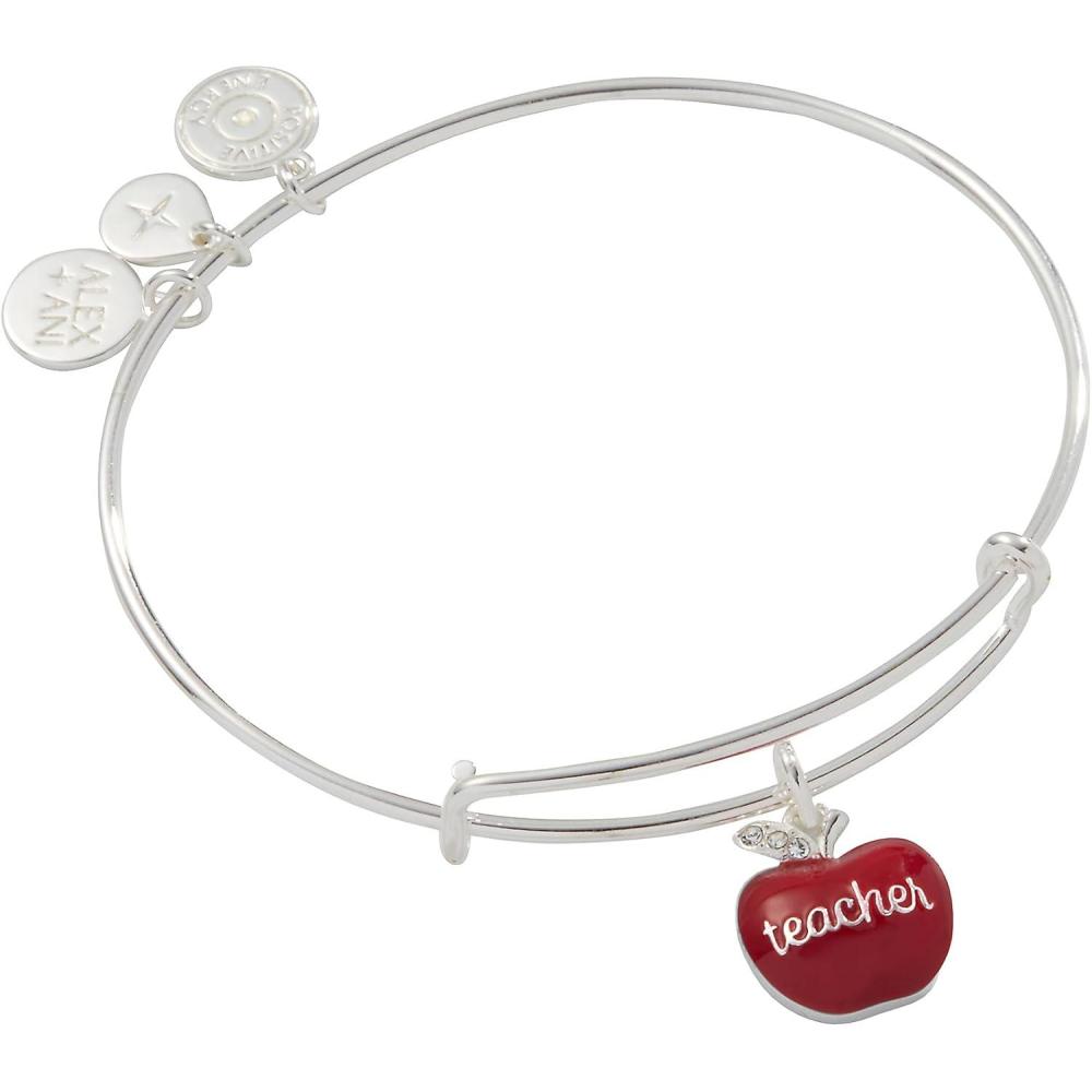 imageAlex and Ani SchoolThemed Charm Bracelet for Women  Ideal Gift for Teachers amp StudentsSilver