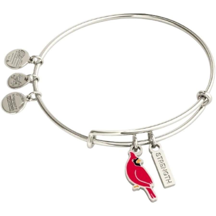 imageAlex and Ani Strength Cardinal Duo Charm Bangle BraceletShiny Silver