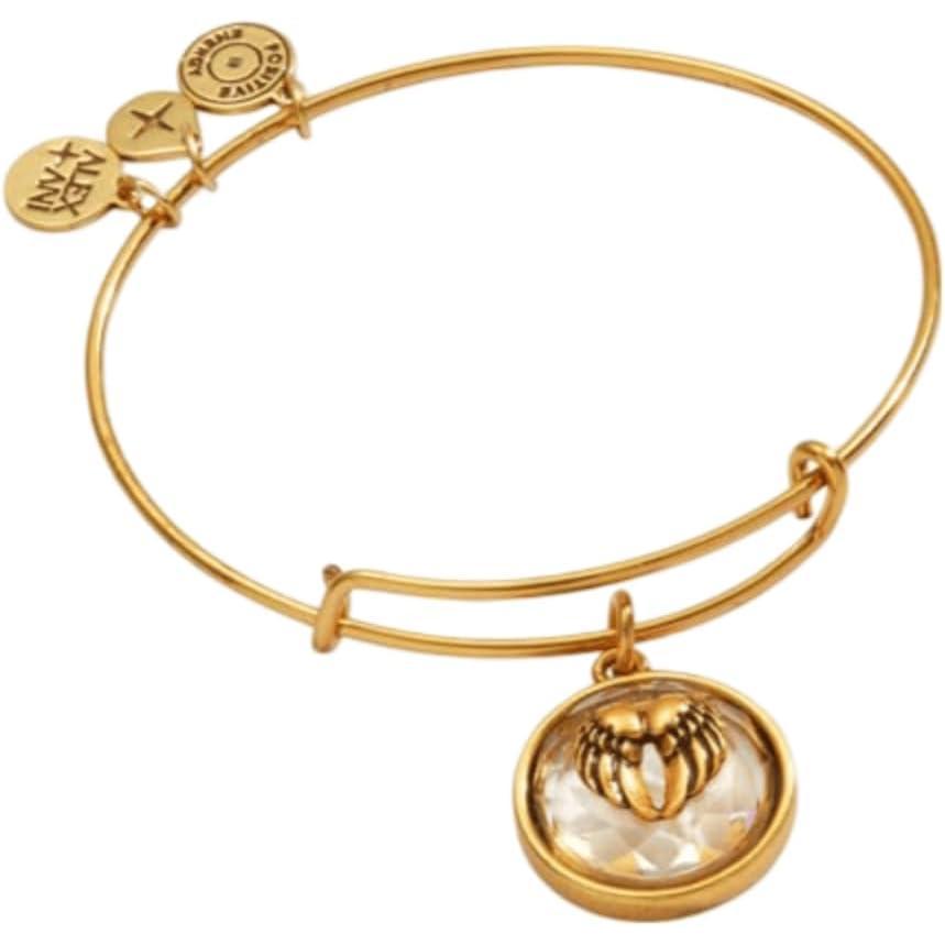 imageAngel Wing Charm Bangle by Alex and AniBrass