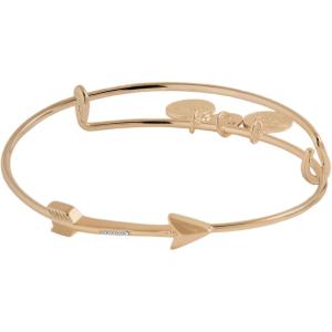 Alex and Ani Arrow Inline Bangle(Gold)
