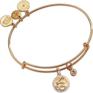 Alex and Ani Sagittarius Zodiac Charm Bangle(Gold)
