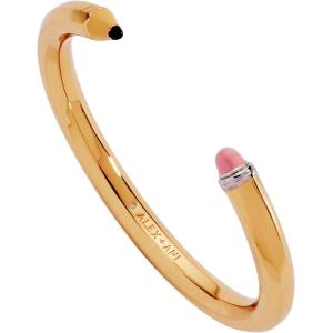 Alex and Ani School-Themed Charm Bracelet for Women – Ideal Gift for Teachers & Students(Two Tone)