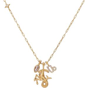 Alex and Ani Zodiac Charm Cluster Necklace(Capricorn)