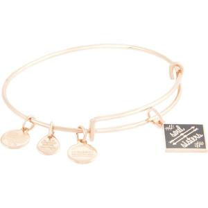 Alex and Ani Color Infusion Soul Sisters Bangle Bracelet(Shiny Silver)
