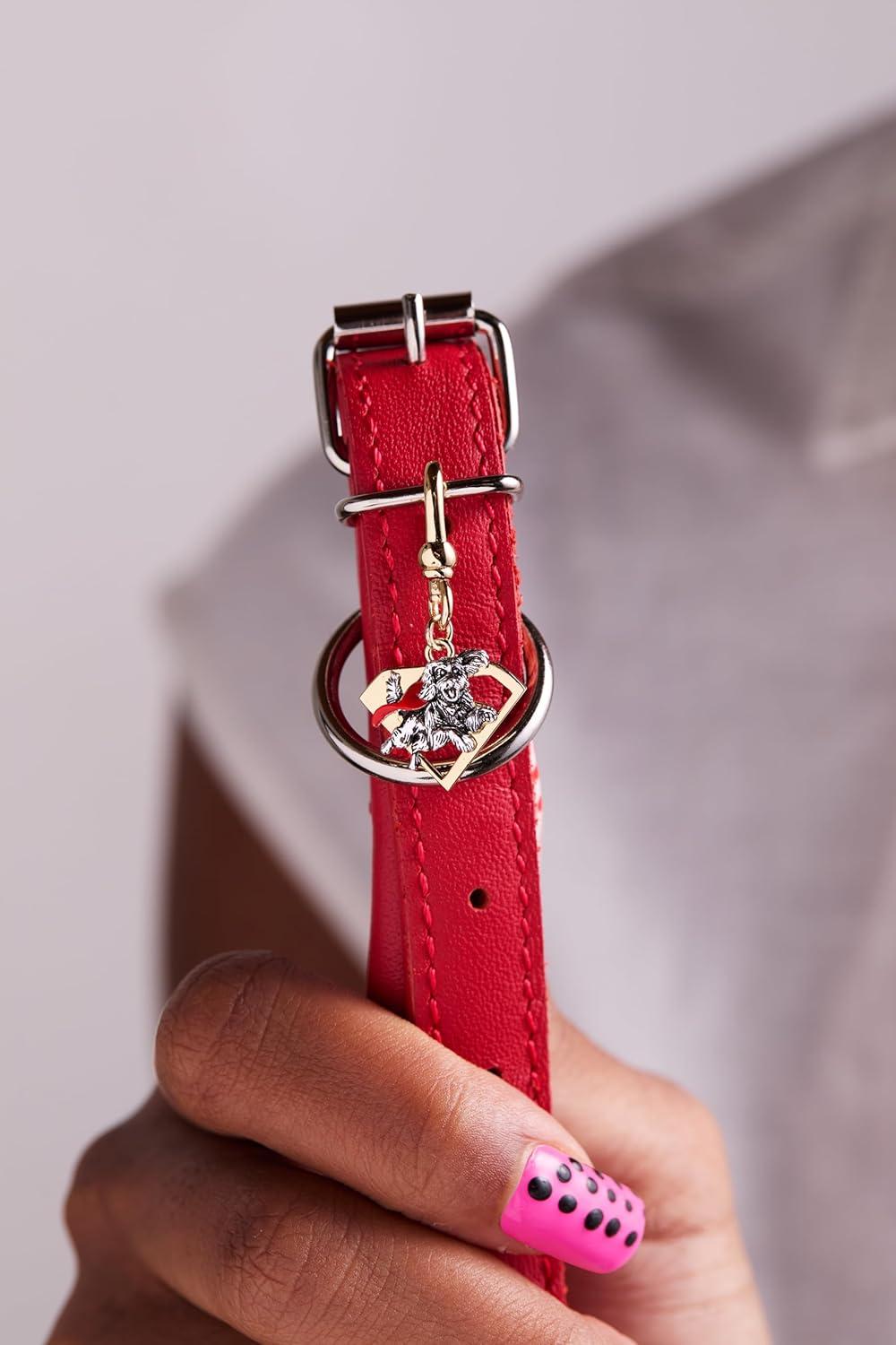 imageAlex and Ani SUPERMAN Krypto The Superdog JewelrySUPERMAN Krypto Charm