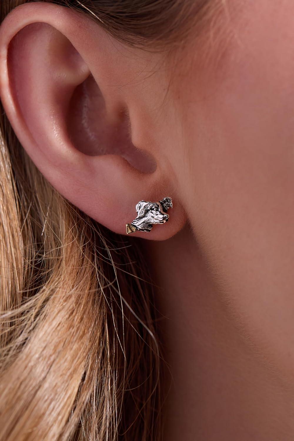 imageAlex and Ani SUPERMAN Krypto The Superdog JewelrySUPERMAN Krypto Stud