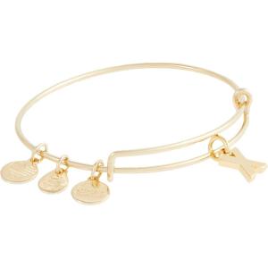 Alex and Ani Expandable Bangle for Women, Initials A to Z Letter Charms, Shiny Finish, 2 to 3.5 in(Shiny Gold)