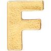 imageAlex and Ani Initial F Gold Slider Charm Create Your Own Initial F Charm 14kt Gold Plated Gold Charm Size 021 inch Width by 029 inch Height
