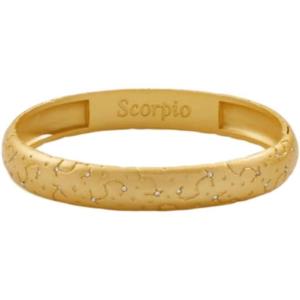 Alex and Ani Sagittarius Zodiac Hinge Bangle(Satin Gold)