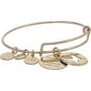 imageAlex and Ani Hidden Message Butterfly Affirmation Bangle