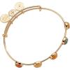 imageAlex and Ani InLine SemiPrecious Gemstone Bangle