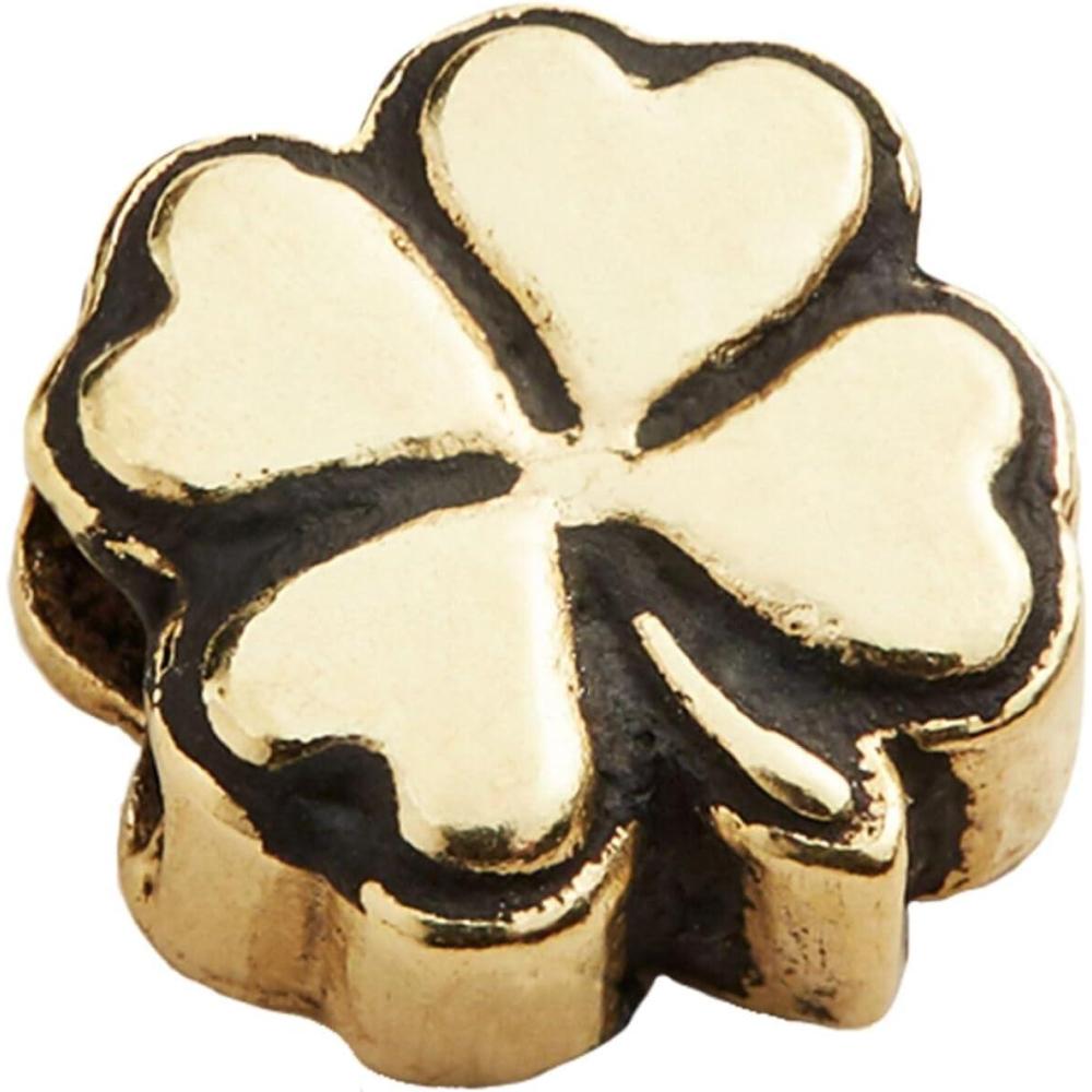 imageAlex and Ani Clover Slider Charm