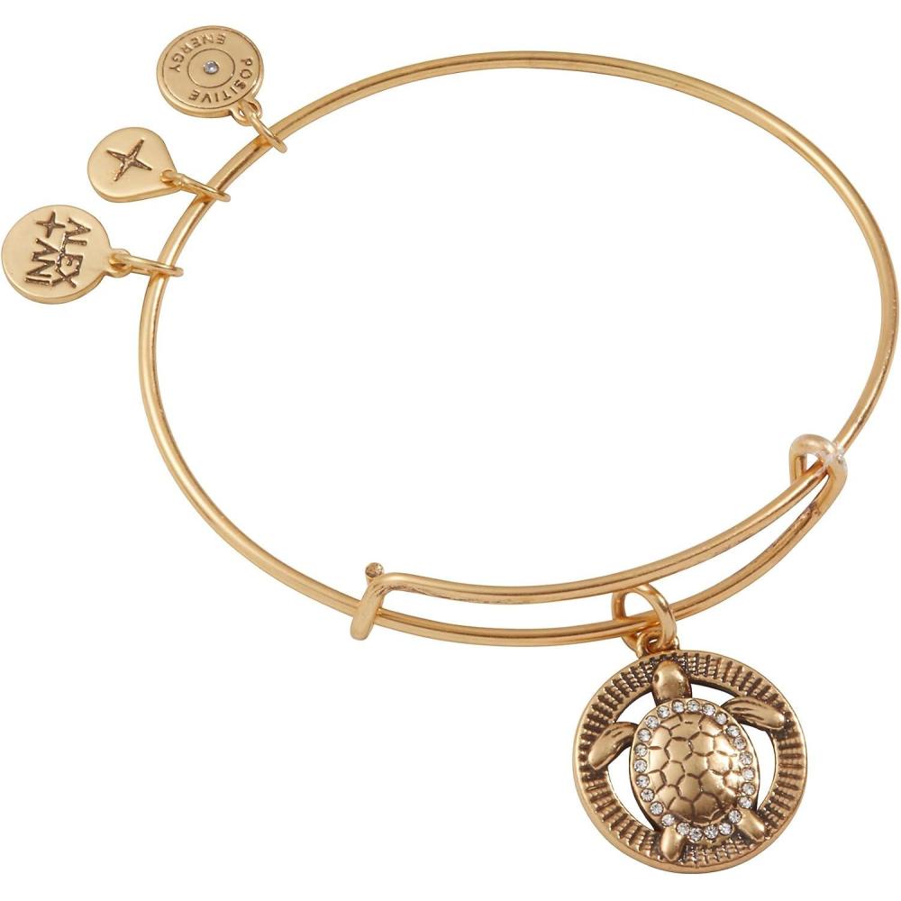 imageAlex and Ani Turtle Charm Bangle