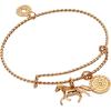 imageAlex and Ani Horse Rope Textured Charm Bangle Bracelet Shiny Gold