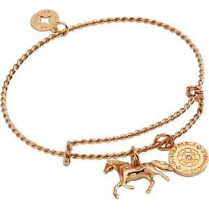 Alex and Ani Horse Rope Textured Charm Bangle Bracelet, Shiny Gold