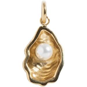 Alex and Ani Pave Anchor Interchangeable Charm(Alex and Ani Interchangeable Oyster Charm)