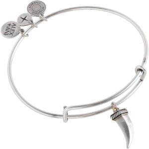 Alex and Ani Turquoise Eagle Jewelry(Alex and Ani Two-Tone Horn Charm Bangle)