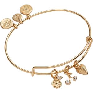 Alex and Ani Fall Harvest Jewelry(Charm Bangle)