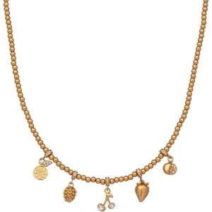 Alex and Ani Fall Harvest Jewelry(Charm Necklace)
