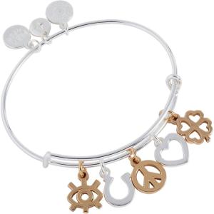 Alex and Ani Hearts Multi-Charm Bangle(Mixed Symbol Multi-Charm EWB)