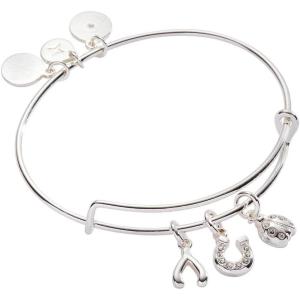 Alex and Ani Love and Luck Multi-Charm Bangle(Silver)
