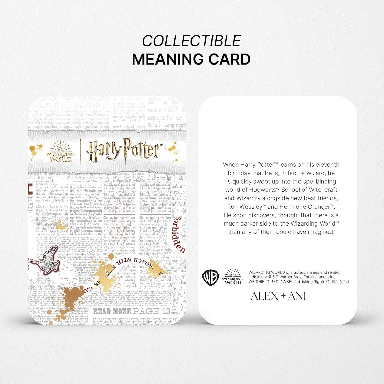 imageAlex and Ani Harry Potter The Ones That Love Us Charm BangleAdjustable Necklace