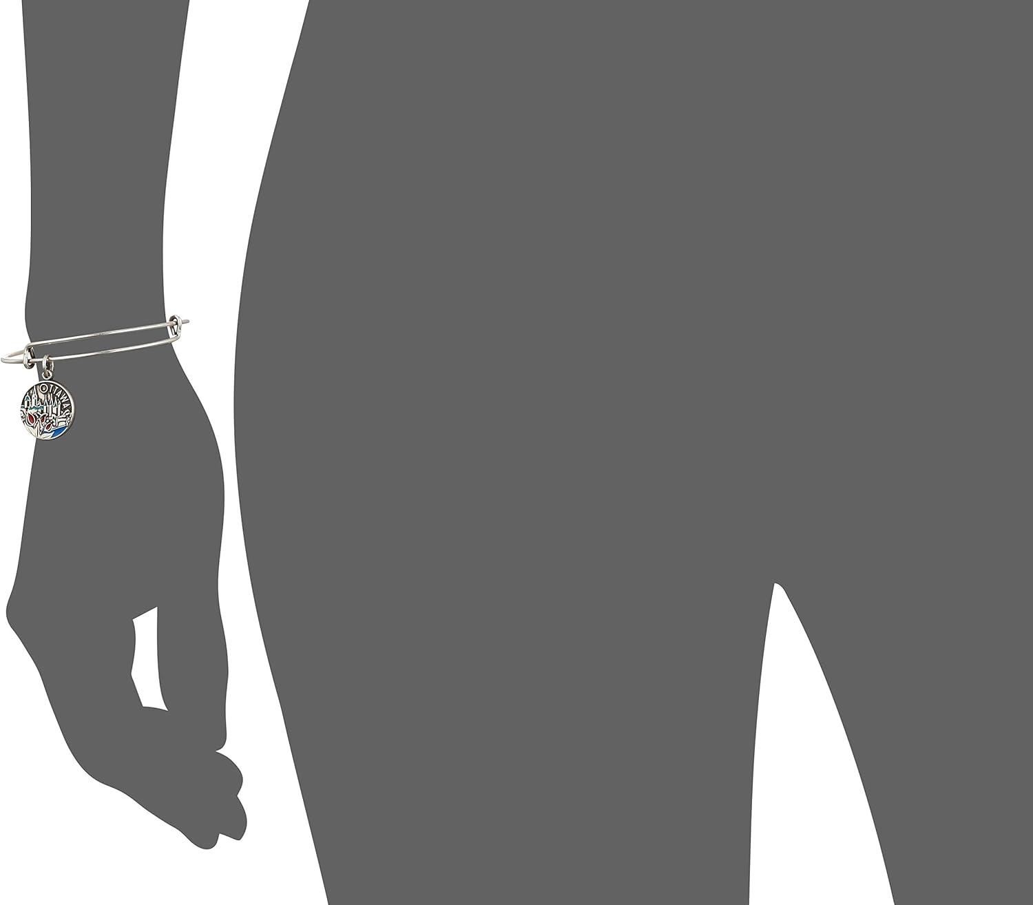 imageAlex and Ani Ottawa Charm BangleRafaelian Silver