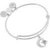 Alex and Ani Star and Moon Charm Bangle