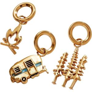 Alex and Ani Airline Ticket Charm(Mountain Vacation Mini Charm Set)