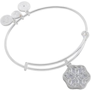 Alex and Ani Healing Love Bangle(Silver)