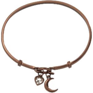 Alex and Ani Moon Duo Clip Bangle(Shiny Chocolate Brown)