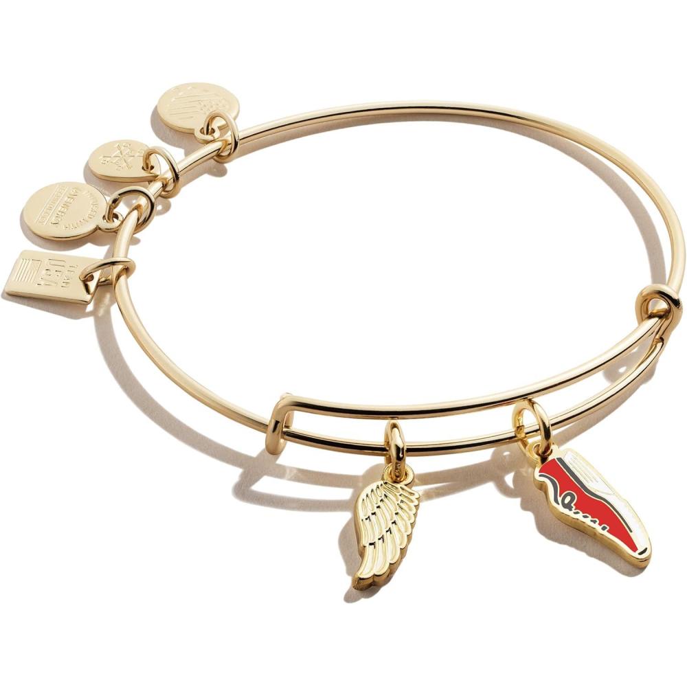 imageAlex and Ani Collaborations Expandable Bangle for Women Team USA Duo Charms Shiny Finish 2 to 35 inShiny Gold Finish