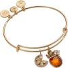 Alex and Ani Spritz O Clock Bangle