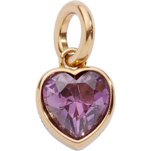 Alex and Ani Heart Birthstone Charms(Clarity)