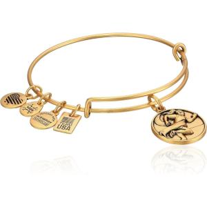 Alex and Ani Team USA Track + Field Charm Bangle(Gold)