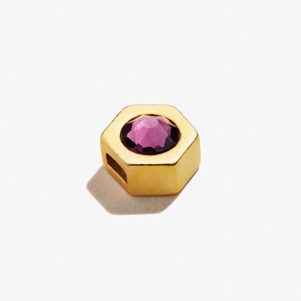 imageAlex and Ani Amethyst Birthstone Slider Charm February Create You Own Swarovski Color Code Amethyst Charm 14kt Gold Plated Purple Charm Charm Size 041 inch Width by 035 inch Height