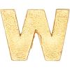 imageAlex and Ani Initial W Gold Slider Charm Create Your Own Initial W Charm 14kt Gold Plated GoldCharm Size 039 inch Width by 028 inch Height