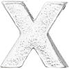 imageAlex and Ani Initial X Slider Charm
