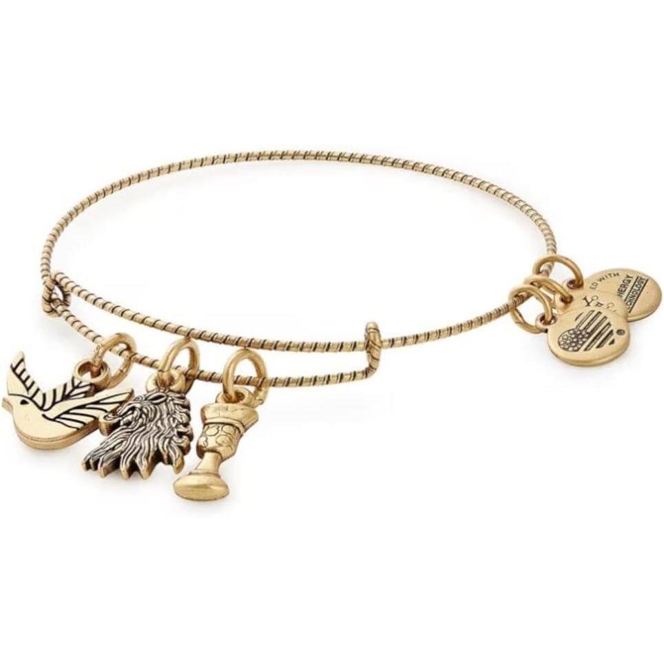 imageAlex and Ani Game of Thrones House Lannister Charm Bangle