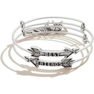 Alex and Ani Best Friends Arrow Charm Bangle Set of 2