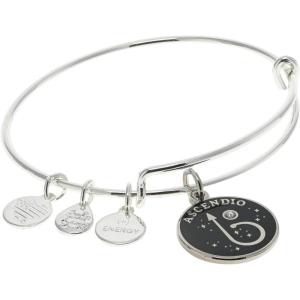 Alex and Ani Harry Potter ‘Ascendio’ Charm Bangle Bracelet