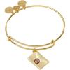 imageAlex and Ani Harry Potter Acceptance Letter Charm Bangle