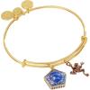 imageAlex and Ani Harry Potter Chocolate Frog TwoCharm Bangle