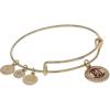 imageAlex and Ani Harry Potter Gryffindor House Charm Bangle