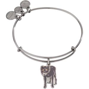 Alex and Ani Harry Potter Sirius Black Charm Bangle Bracelet
